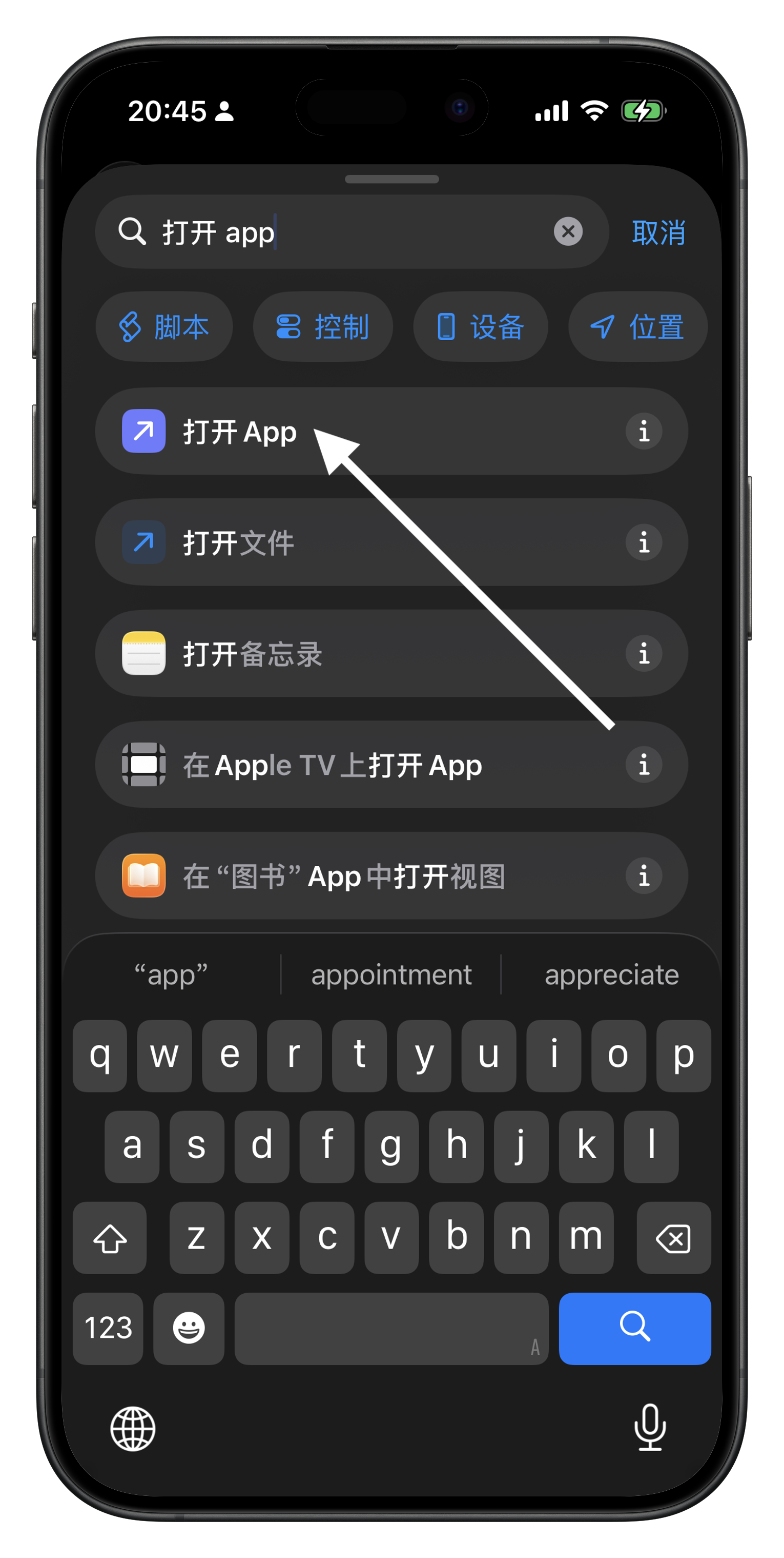 搜索打开 App